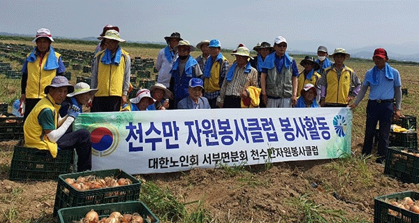 천수만 자원봉사클럽 회원들이 양파 수확을 하고 있다.